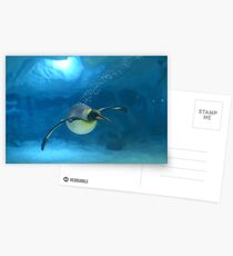 Penguin Blues Postcards