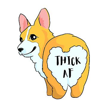 Thick corgis store