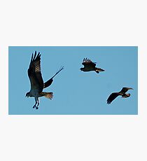 learning to fly Photographic Print