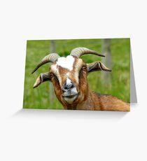 Nanny Reporting For Duty! - Goat - NZ Greeting Card