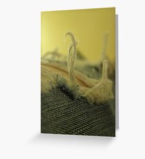 be free Greeting Card