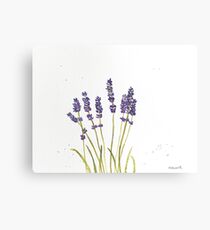 Lavender watercolour painting Canvas Print