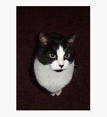 Clever Boy Photographic Print