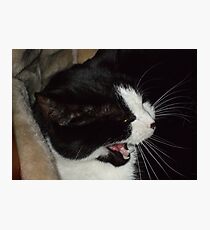 James Brown Photographic Print
