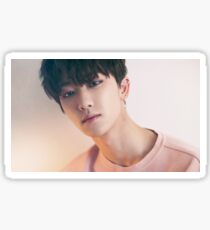 Seventeen The8 Alone Sticker