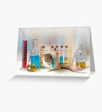 Working at the Laboratory Greeting Card