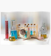 Working at the Laboratory Poster