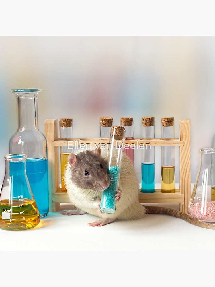 Working at the Laboratory by Ellen
