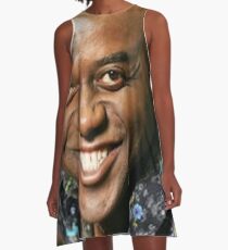 Ainsley Harriott A-Line Dress