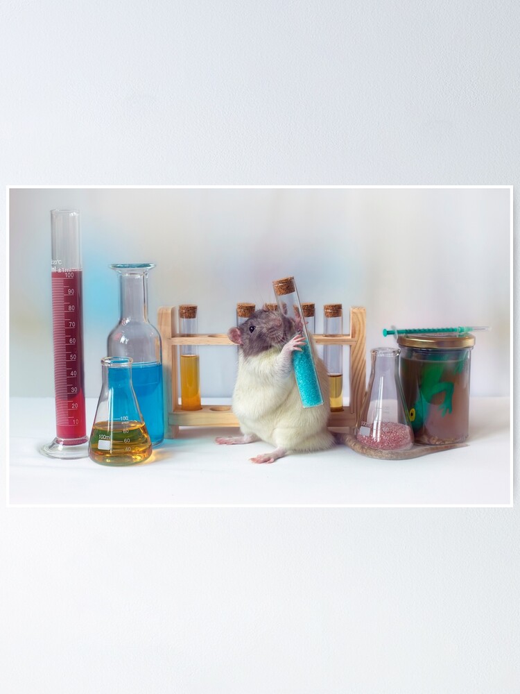 Alternate view of Snoozy working at the lab (2) Poster