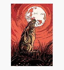 Moon Gazer Hare, Artwork Photographic Print