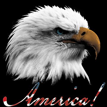 Artwork thumbnail, Freedom's Eagle - America! by DouglasB