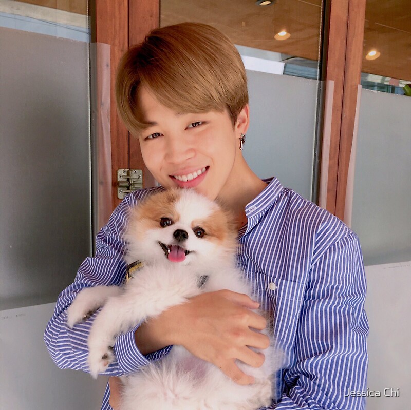 "BTS Jimin with cute dog!" Stickers by Jessica Chi | Redbubble