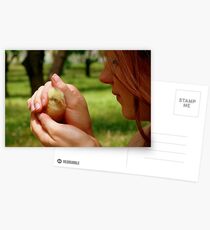 Ohh.. So Precious... - Baby Chick - NZ Postcards