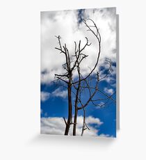 Drought Greeting Card