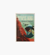 SpaceX Mars Colonization and Tourism Association: Olympus Mons Art Board