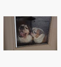Wrinkles Photographic Print