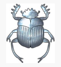 Scarab Beetle 4 - Silver Photographic Print