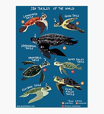 Sea Turtles of the World Photographic Print