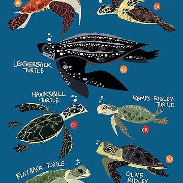 Sea turtles of the world sweatshirt hot sale