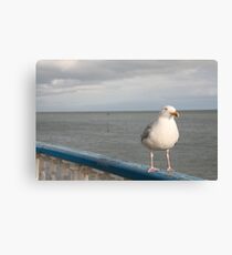 Lienzo SEAGULL.