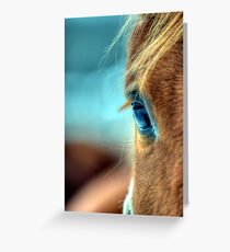 Horse Eye Greeting Card