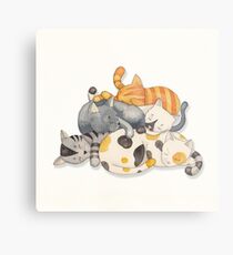 Cat Nap (Siesta Time) Metal Print