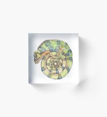 Chameleon Acrylic Block