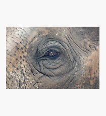 Wrinkles Photographic Print