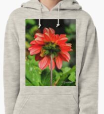 Wrong Way Around Pullover Hoodie