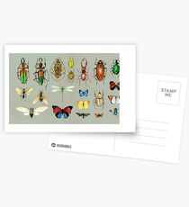 The Usual Suspects - Insects on grey - watercolour bugs pattern by Cecca Designs Postcards