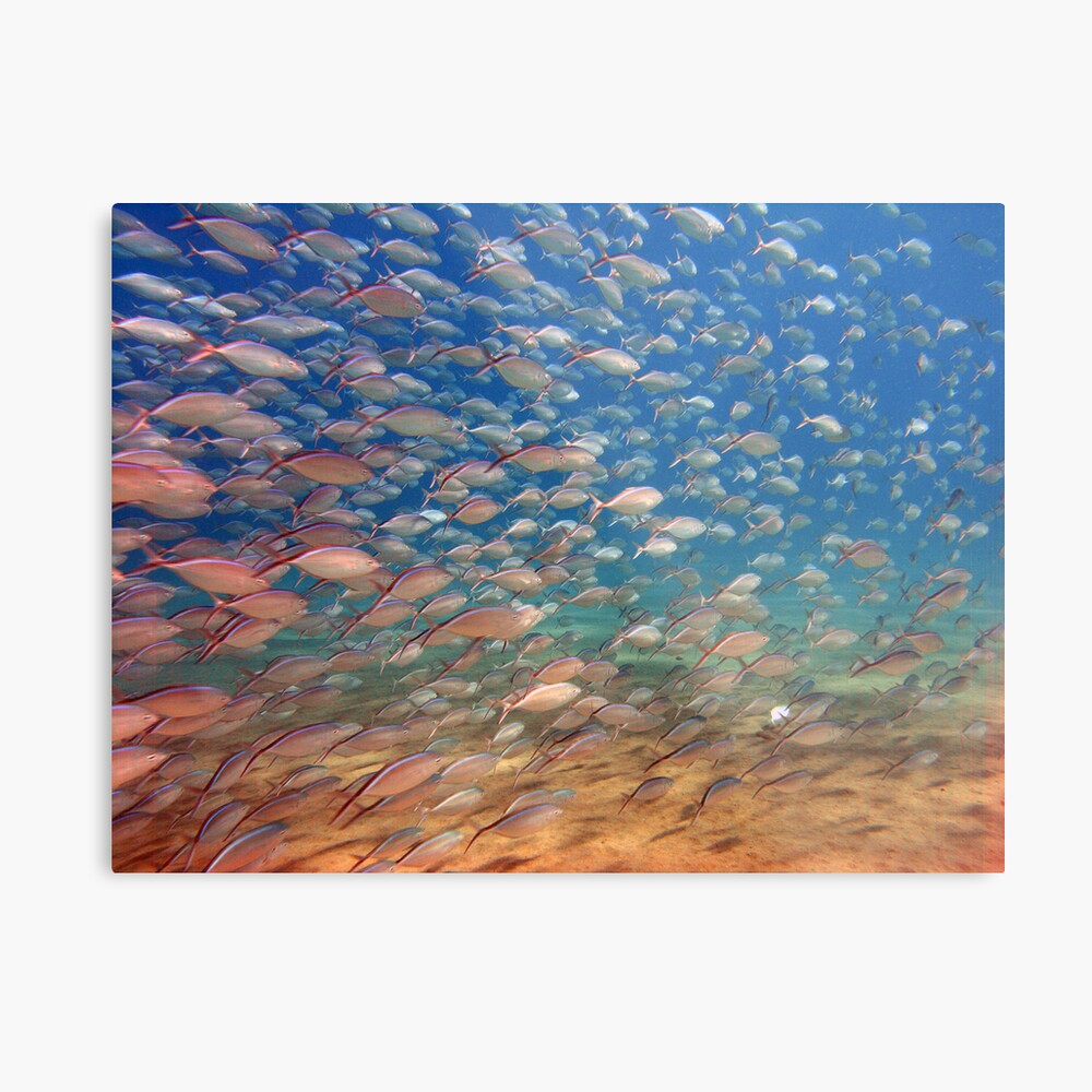 wide angle Metal Print