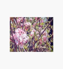 Counting Cheerful Cherry Blossoms Art Board