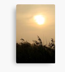 Morning Sun Canvas Print