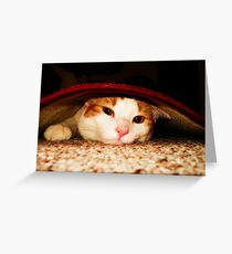 Precious Greeting Card