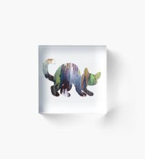 Cat Acrylic Block