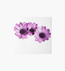 Pretty in Pink Art Board