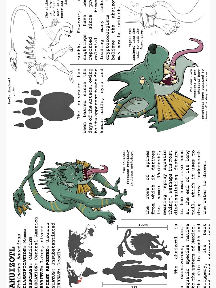 Monster Guide: Ahuizotl by ollierayart