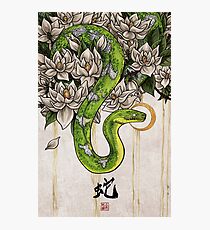 Lámina fotográfica Serpiente