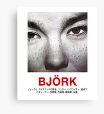 Bjork Canvas Print