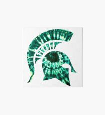 Michigan State Tie Dye Art Board