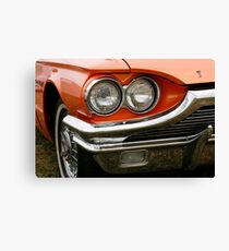 Birds Eye Canvas Print