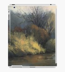 February on the Sugar River iPad Case/Skin