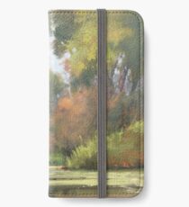 Lake Leota, Evansville WI iPhone Wallet/Case/Skin