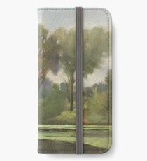 Lake Leota on a Cloudy Day iPhone Wallet/Case/Skin