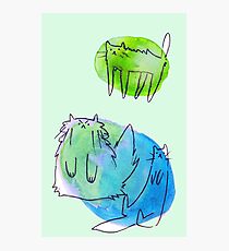 Goofy Watercolor Cats Photographic Print