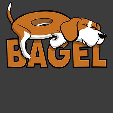 todos los bagels son seguros para los perros