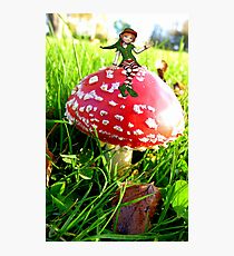 Make A Wish It Can Come True! - Mushroom & Elf Photographic Print