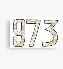 973 Canvas Print