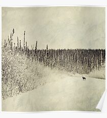 Walking Luna Poster